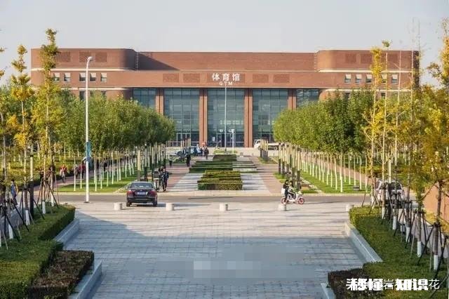 南开大学的什么让你特别想吐槽