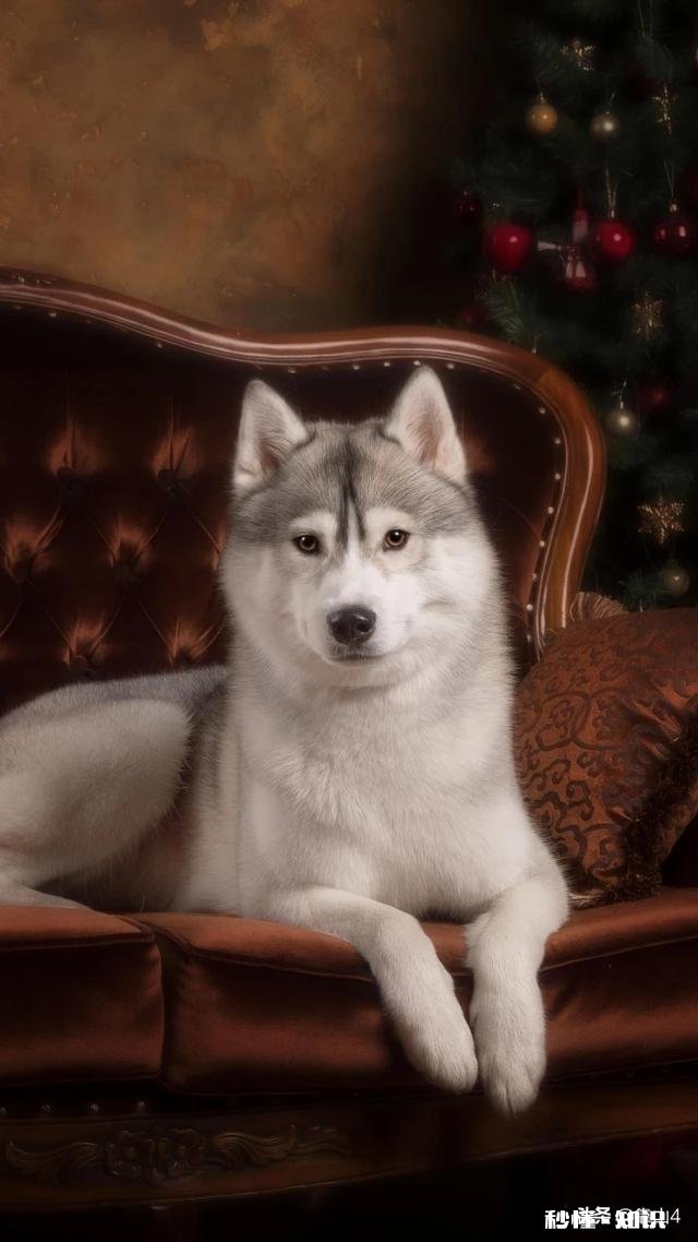 刚认识一个女孩子,以前办过酒席没领结婚证,她算结过婚了吗