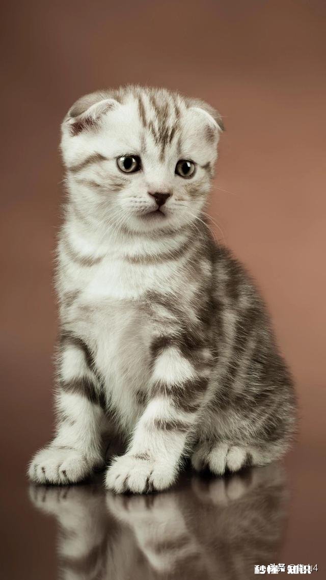 刚认识一个女孩子,以前办过酒席没领结婚证,她算结过婚了吗