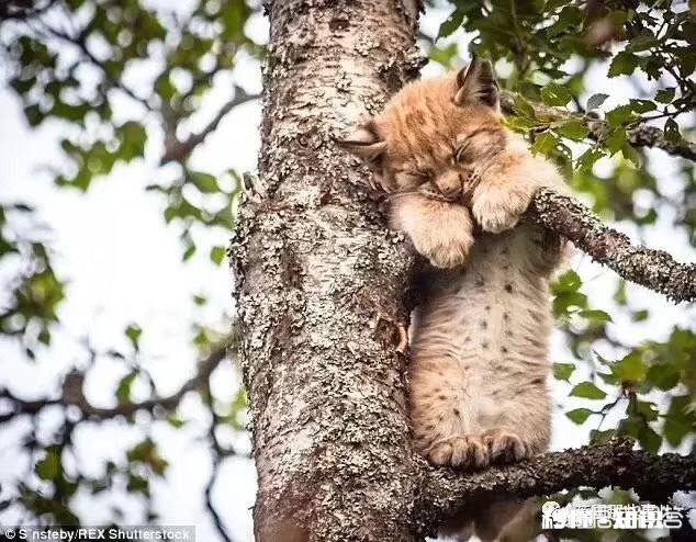 一个女人疯狂买衣服可能是什么原因