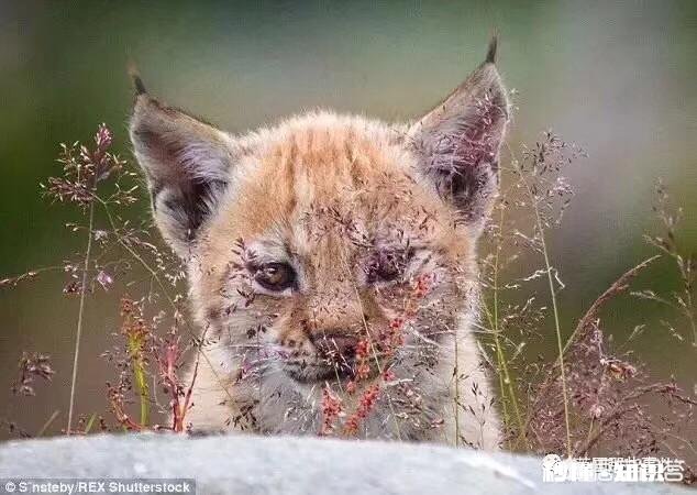 一个女人疯狂买衣服可能是什么原因