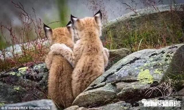 一个女人疯狂买衣服可能是什么原因