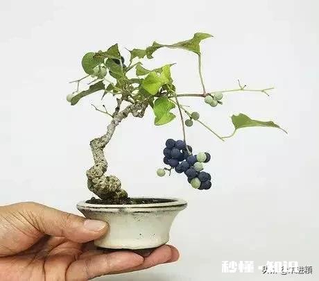 妻子吵架后，没带手机，离家出走，怎么找