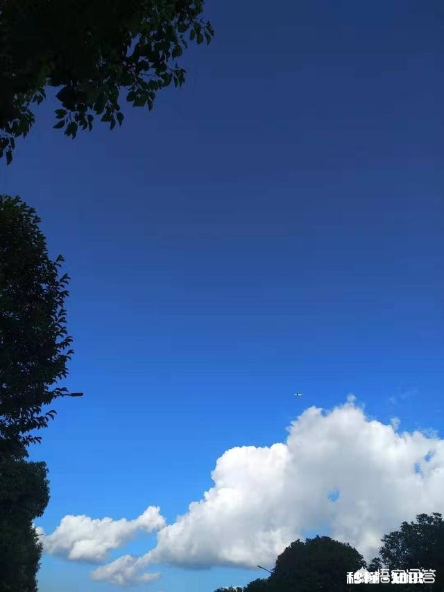 有一根点燃的火柴，如果将一盆汽油泼过去，是汽油被点燃还是点燃的火柴被扑灭