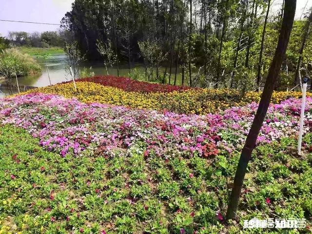 对于一般的年轻人，什么手机比较适合