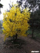 对于一般的年轻人，什么手机比较适合