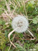 多年不联系的同学突然来借钱，原因只说家里遇到困难了，该借吗