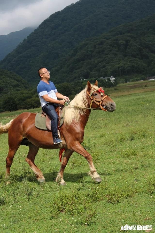 谁看过《羊皮卷》这本书这本书怎么样，是否值得看