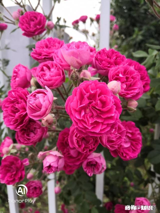 女方要求婚后管理金钱，做为男方，你该怎么办