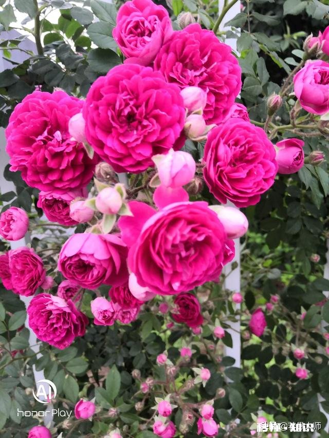 女方要求婚后管理金钱，做为男方，你该怎么办