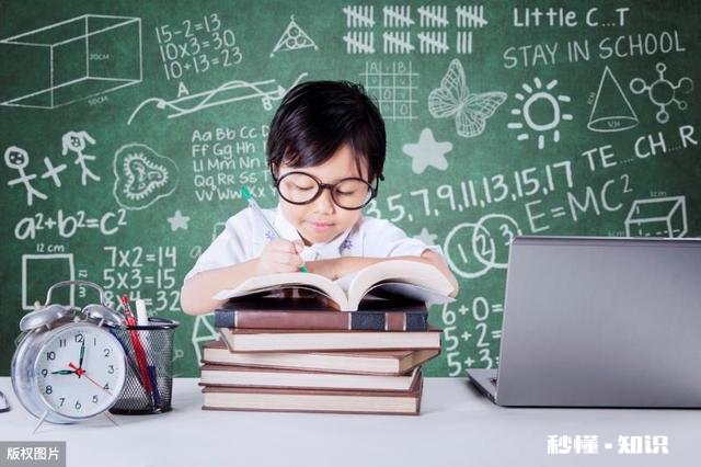 小学生的课外教育该从哪方面着手