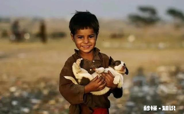 小学生的课外教育该从哪方面着手