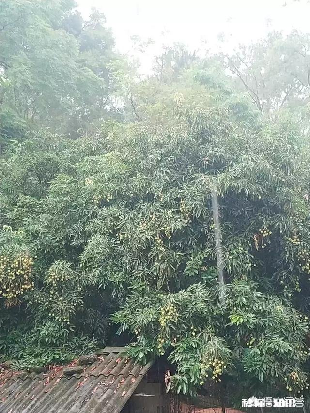 谁能告诉我，现在水果为什么这么贵了