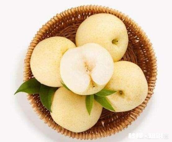 谁能告诉我，现在水果为什么这么贵了