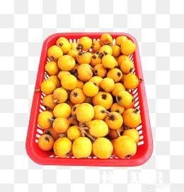 谁能告诉我，现在水果为什么这么贵了