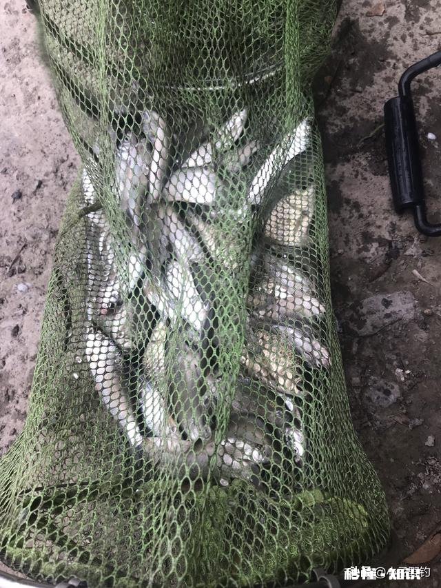 浮漂一顿一顿的或者感觉刮倒一下是怎么回事