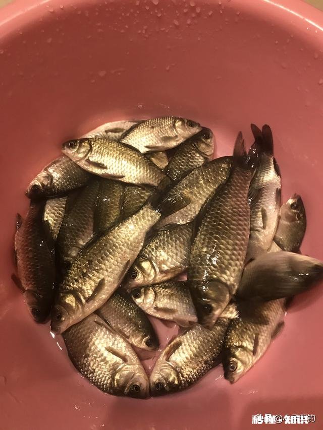 浮漂一顿一顿的或者感觉刮倒一下是怎么回事