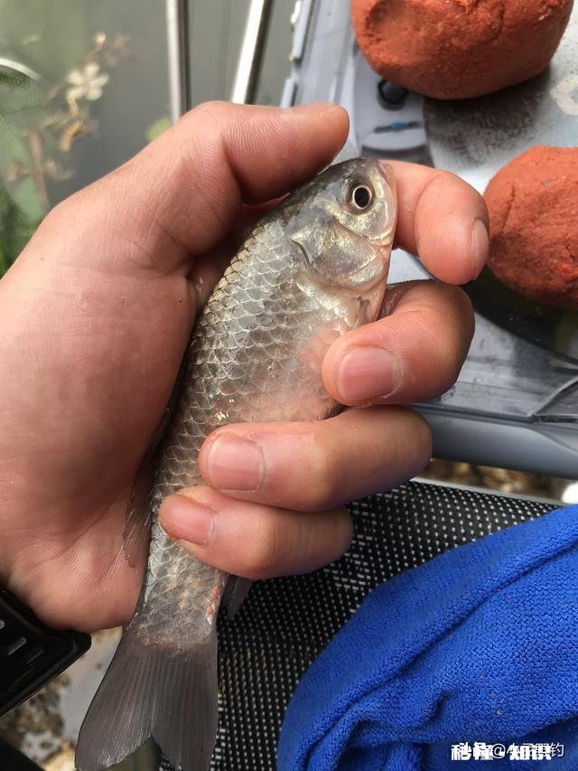 浮漂一顿一顿的或者感觉刮倒一下是怎么回事