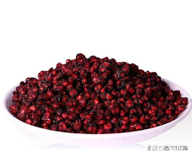 五味子什么季节移栽成活率最高