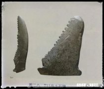 鲁班造锯是古代神话传说吗有何依据