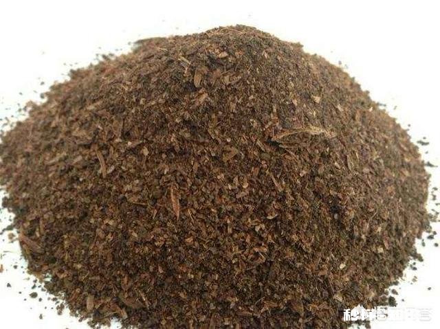 高粮酒喝着最醇香，酒糟可以做成什么饲料呢