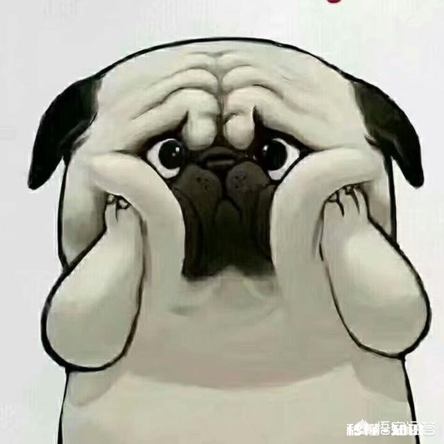 《东宫》和《招摇》哪个更虐一些