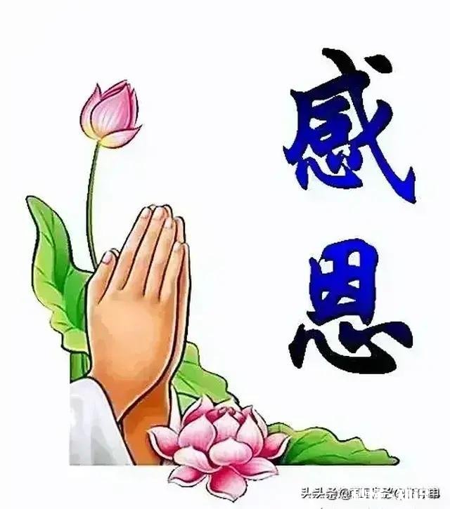 婆婆做的饭不合胃口，自己又没时间做怎么办