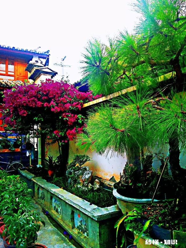 老年人和儿女们在一起生活，如何避免产生矛盾