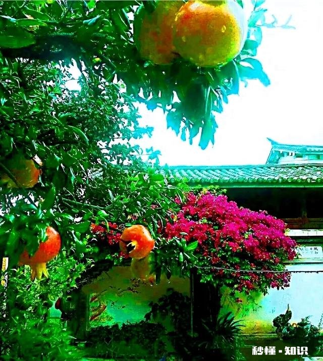 老年人和儿女们在一起生活，如何避免产生矛盾