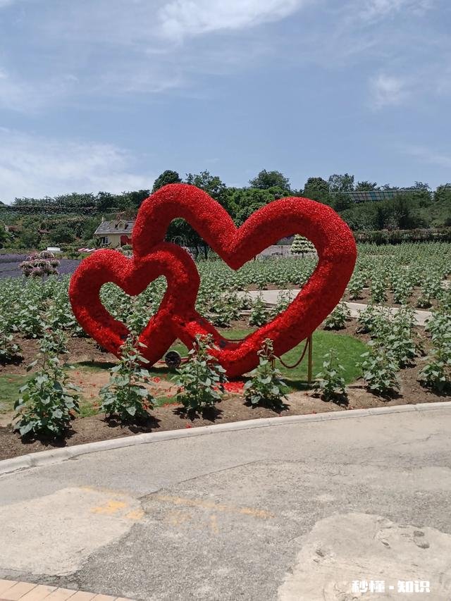 老年人和儿女们在一起生活，如何避免产生矛盾