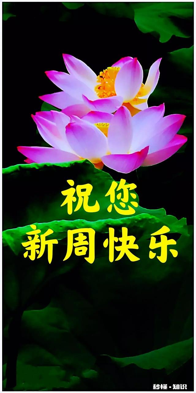 老年人和儿女们在一起生活，如何避免产生矛盾