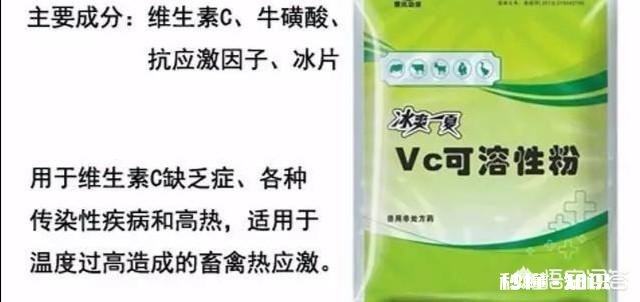 夏季生猪食欲减退可能导致中暑，有何应对措施