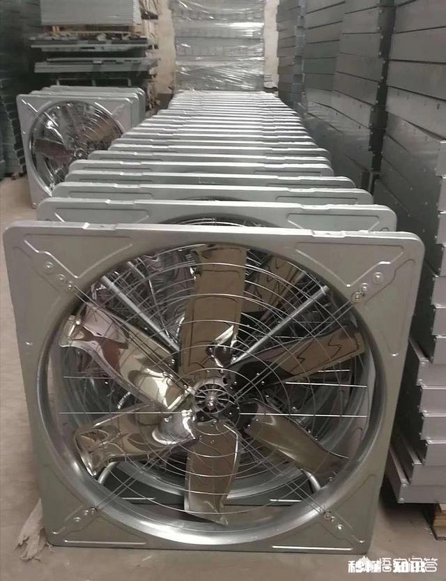 夏季生猪食欲减退可能导致中暑，有何应对措施