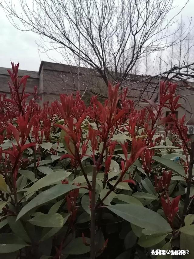 颈椎偶尔有点疼可能是与经唱车，低头看手机有关，平时如何调理