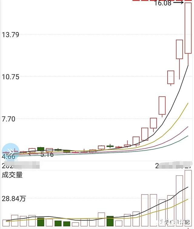 8月27日，星期四，上证指数低开高走，黎明来临，还是短线反抽