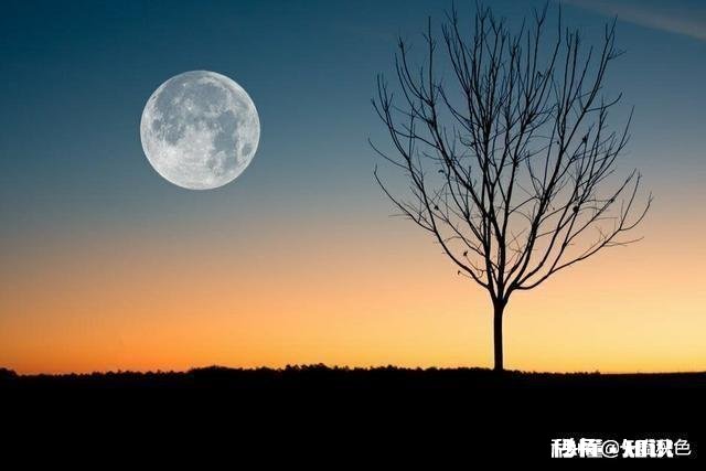 天天说人间不值得的是不是有问题你怎么看