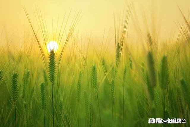 天天说人间不值得的是不是有问题你怎么看