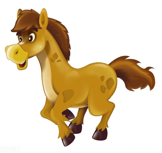 生肖马最担心什么