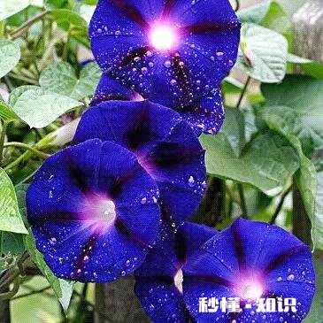 学生没完成作业，罚学生站了一节课。我们是支持他还是谴责他呢