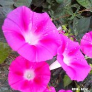 学生没完成作业，罚学生站了一节课。我们是支持他还是谴责他呢