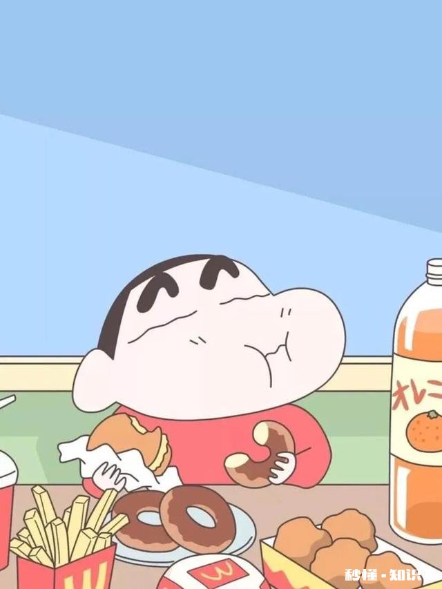 蜡笔小新为什么有那么多成语