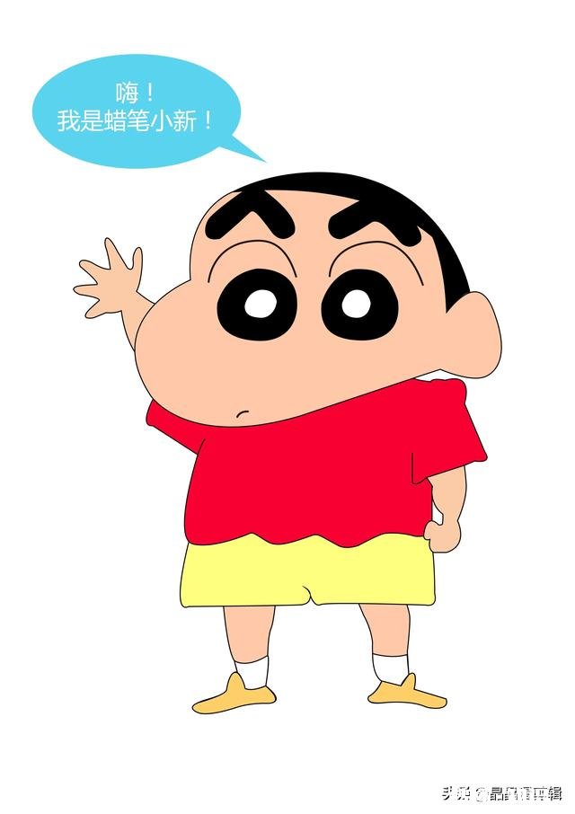 蜡笔小新为什么有那么多成语