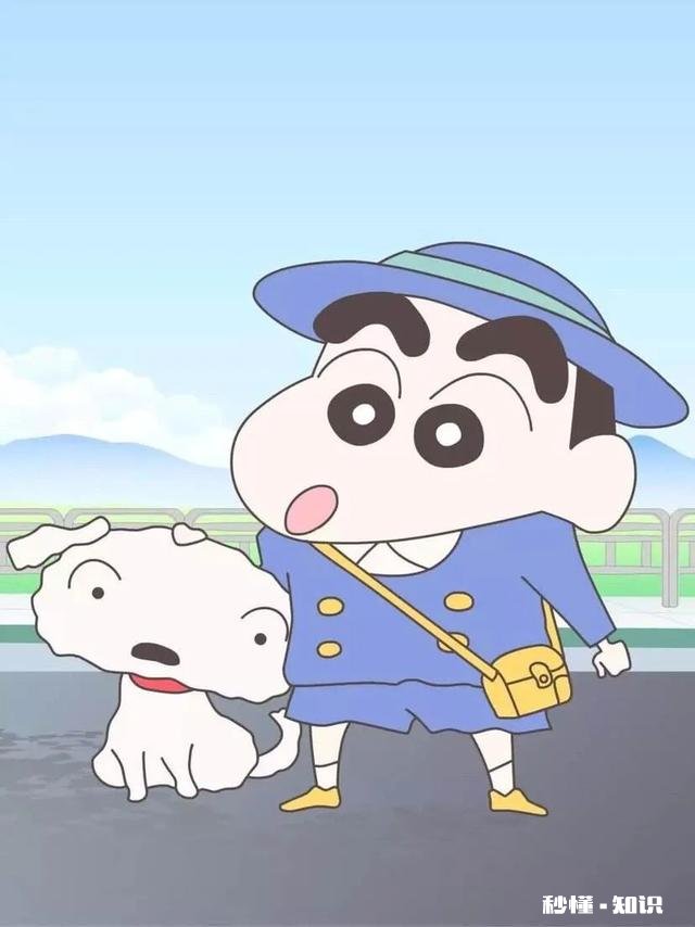 蜡笔小新为什么有那么多成语