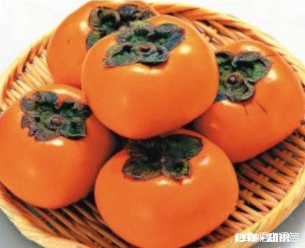 柿子烘了该怎么存放