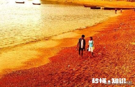 花甲老太爱上18岁小伙，反被小伙敲诈40万，是否值得同情