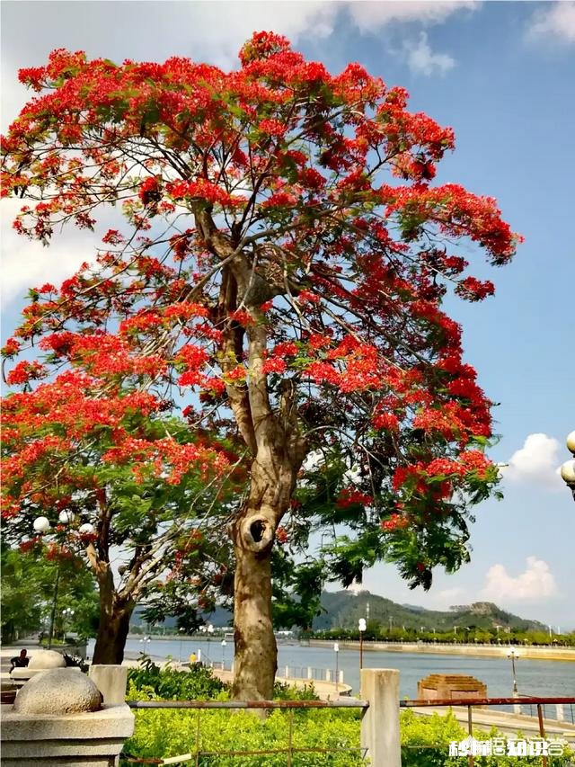 临近高考，有什么要注意的吗