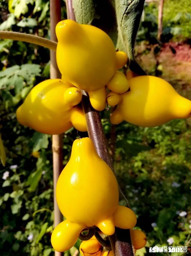 临近高考，有什么要注意的吗