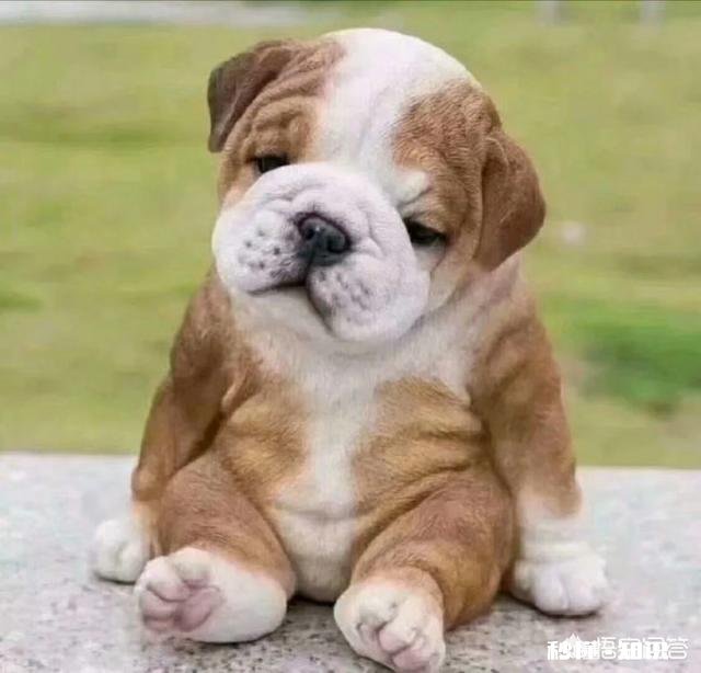 去青海湖、茶卡盐湖的路上为什么全是川菜馆