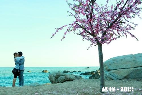 你还记得《爱情睡醒了》这部剧吗觉得怎么样