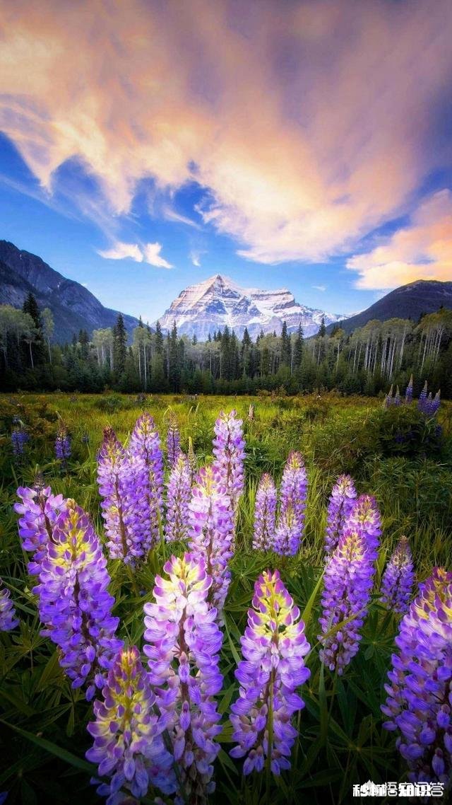 父母不关心约束孩子会不会更好